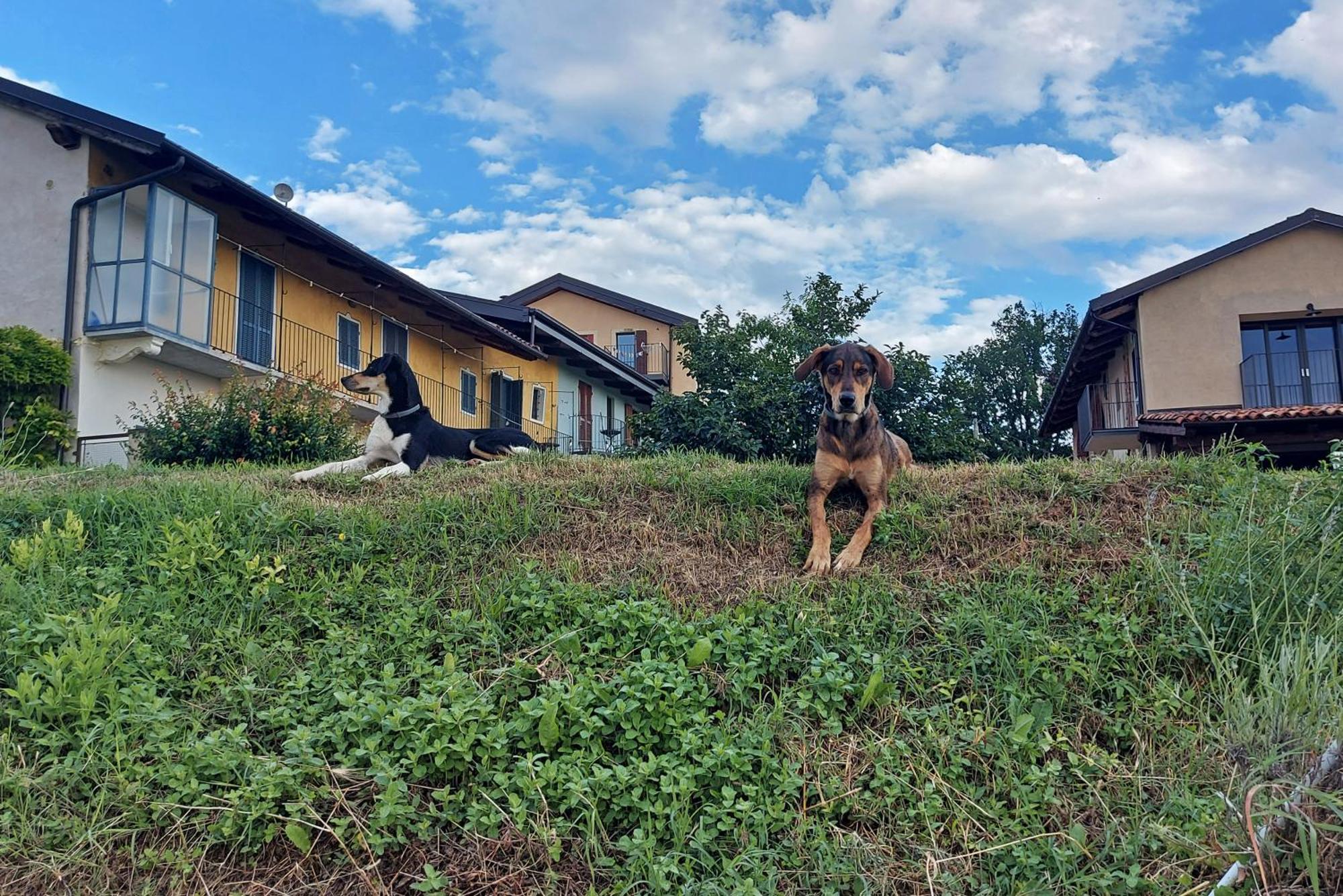 多利亚尼Cascina Nomade - Wine & Scenic Retreat公寓 外观 照片