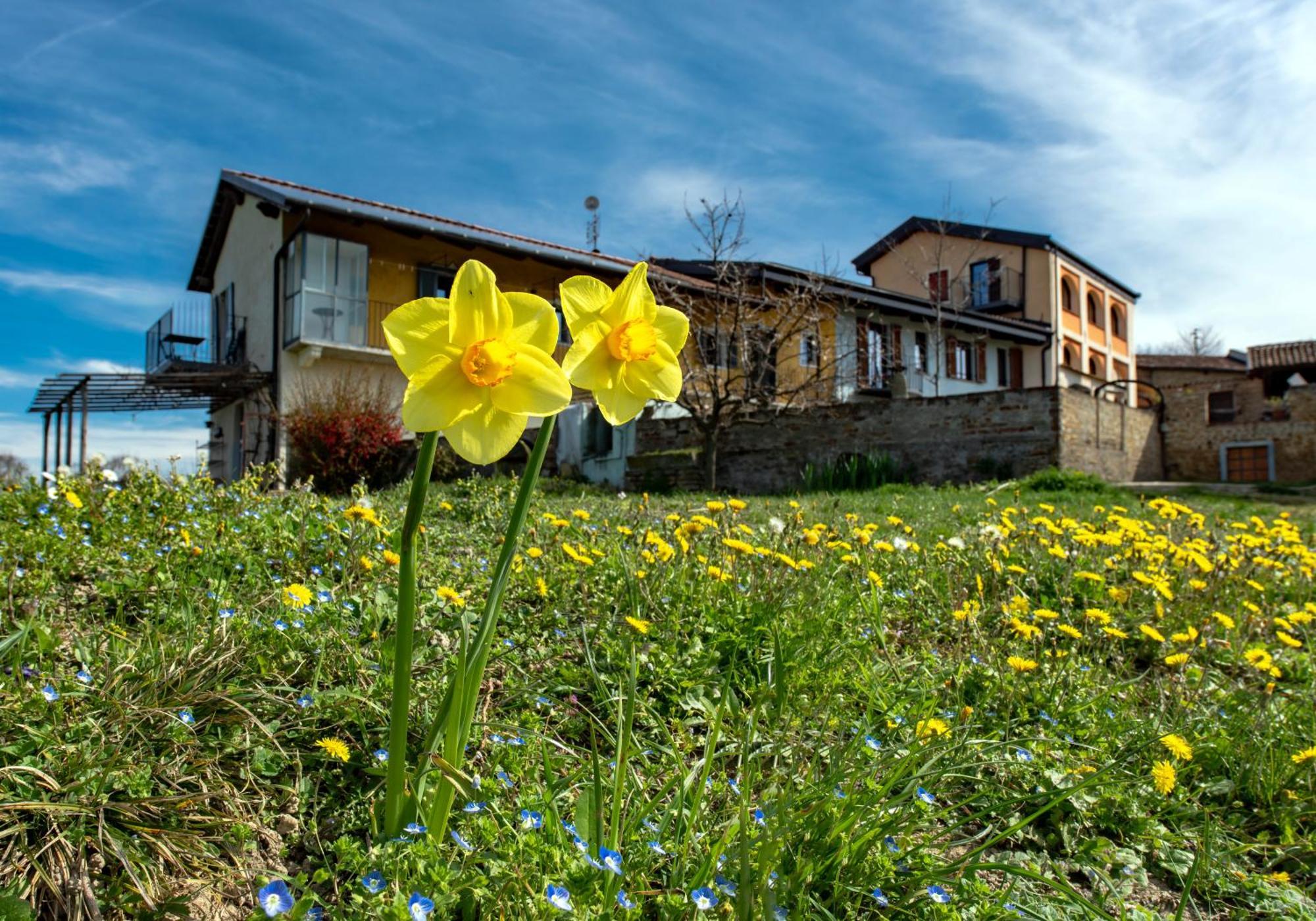 多利亚尼Cascina Nomade - Wine & Scenic Retreat公寓 外观 照片