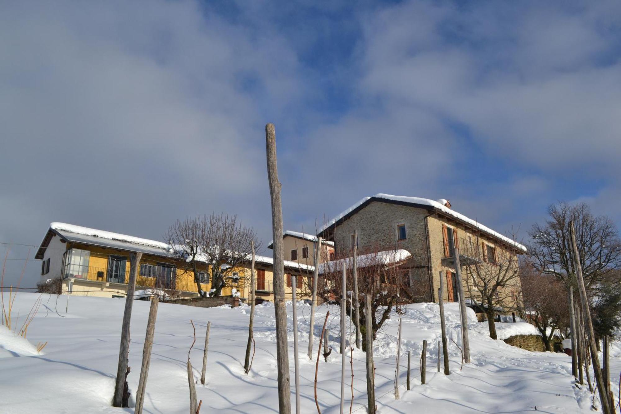多利亚尼Cascina Nomade - Wine & Scenic Retreat公寓 外观 照片