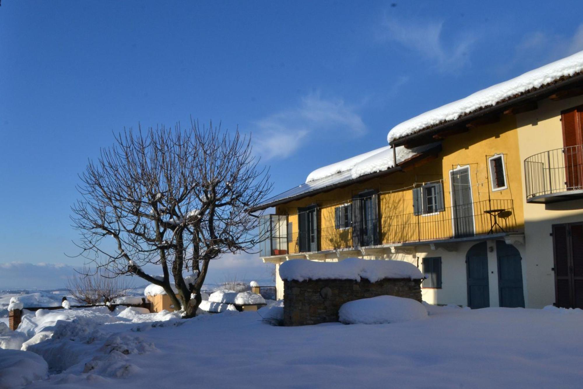 多利亚尼Cascina Nomade - Wine & Scenic Retreat公寓 外观 照片